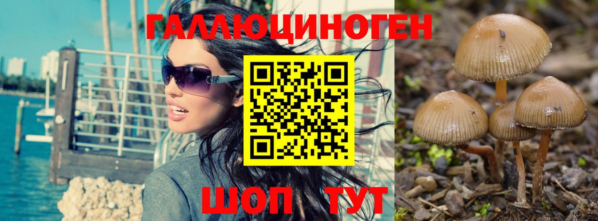 Псилоцибиновые грибы Magic Shrooms Нижний Тагил
